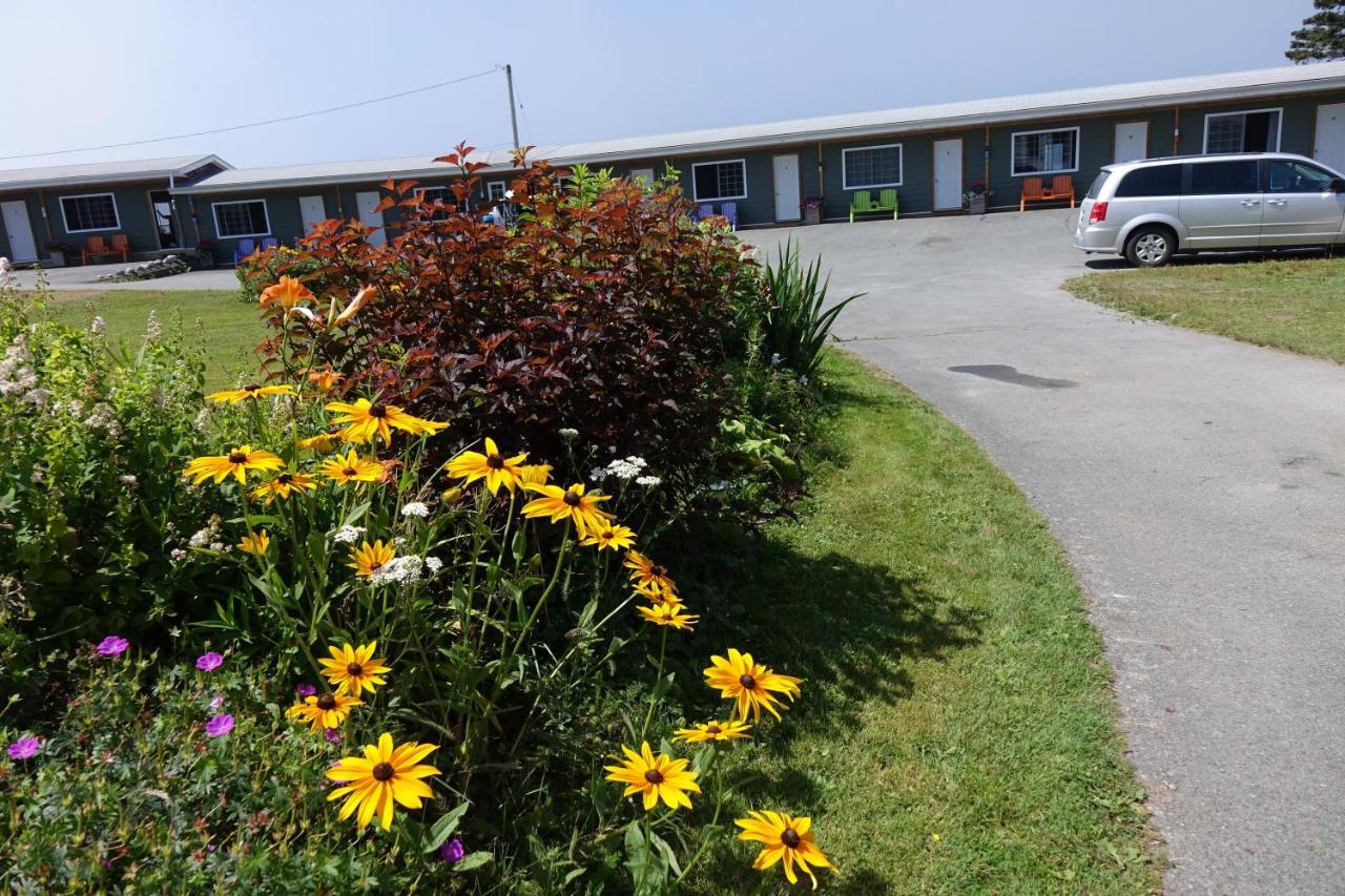 Clifty Cove Motel Peggy's Cove Exterior photo